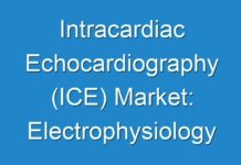 Intracardiac Echocardiography (ICE) Market: Electrophysiology Application Segment Offers Significant Growth Potential