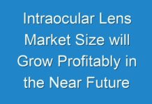 Intraocular Lens Market Size will Grow Profitably in the Near Future 2017 – 2024
