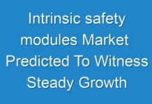 Intrinsic safety modules Market Predicted To Witness Steady Growth During The Forecast Period 2017 – 2025