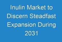 Inulin Market to Discern Steadfast Expansion During 2031