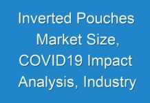 Inverted Pouches Market Size, COVID19 Impact Analysis, Industry Growth, Forecast 2024-2027