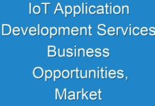IoT Application Development Services Business Opportunities, Market Size, Growth, Revenue & Forecast 2031