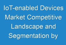 IoT-enabled Devices Market Competitive Landscape and Segmentation by 2025