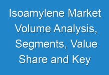 Isoamylene Market Volume Analysis, Segments, Value Share and Key Trends 2030