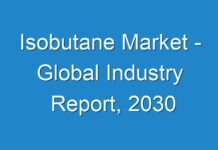 Isobutane Market – Global Industry Report, 2030