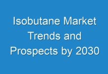 Isobutane Market Trends and Prospects by 2030