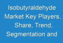 Isobutyraldehyde Market Key Players, Share, Trend, Segmentation and Forecast to 2029