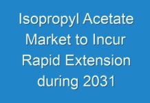 Isopropyl Acetate Market to Incur Rapid Extension during 2031