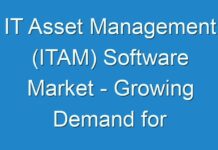 IT Asset Management (ITAM) Software Market – Growing Demand for Centralization and Automation Driving Adoption of ITAM Software in North America