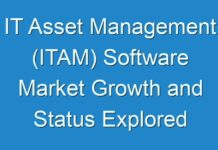 IT Asset Management (ITAM) Software Market Growth and Status Explored in a New Research Report (2024 – 2030)