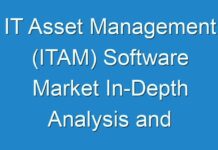 IT Asset Management (ITAM) Software Market In-Depth Analysis and Future Forecast 2024
