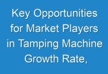 Key Opportunities for Market Players in Tamping Machine Growth Rate, Emerging Trends, Main Vendors, and Forecasts 2027