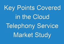 Key Points Covered in the Cloud Telephony Service Market Study