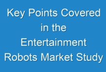 Key Points Covered in the Entertainment Robots Market Study