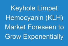 Keyhole Limpet Hemocyanin (KLH) Market Foreseen to Grow Exponentially by 2025