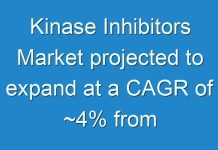 Kinase Inhibitors Market projected to expand at a CAGR of ~4% from 2019 to 2027