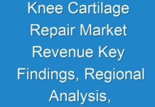 Knee Cartilage Repair Market Revenue Key Findings, Regional Analysis, Key Players Profiles and Future Prospects | COVID-19 Impact