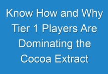Know How and Why Tier 1 Players Are Dominating the Cocoa Extract Market | Detailed Analysis And Forecast Till 2031 By Fact.MR