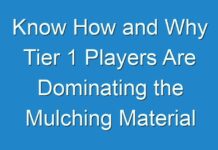 Know How and Why Tier 1 Players Are Dominating the Mulching Material Market | Detailed Analysis And Forecast Till 2031 By Fact.MR