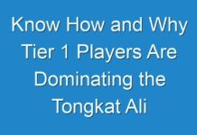 Know How and Why Tier 1 Players Are Dominating the Tongkat Ali Extract Market | Detailed Analysis And Forecast Till 2031 By Fact.MR