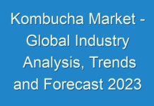 Kombucha Market – Global Industry Analysis, Trends and Forecast 2024