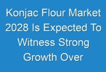 Konjac Flour Market 2028 Is Expected To Witness Strong Growth Over The Forecast Period On Account Of Its Increasing Application Scope In Food & Beverages