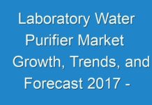 Laboratory Water Purifier Market Growth, Trends, and Forecast 2017 – 2024