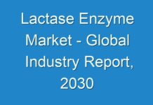 Lactase Enzyme Market – Global Industry Report, 2030