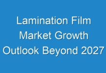 Lamination Film Market Growth Outlook Beyond 2027