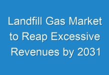 Landfill Gas Market to Reap Excessive Revenues by 2031