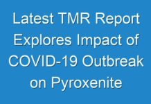 Latest TMR Report Explores Impact of COVID-19 Outbreak on Pyroxenite Market