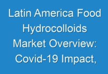 Latin America Food Hydrocolloids Market Overview: Covid-19 Impact, Major Marketing Channels, Business Strategies And Future Forecast