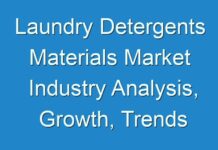 Laundry Detergents Materials Market Industry Analysis, Growth, Trends 2024; New TMR Report Explores Impact of COVID-19
