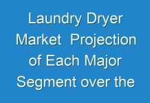 Laundry Dryer Market Projection of Each Major Segment over the Forecast Period 2031