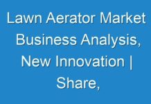 Lawn Aerator Market Business Analysis, New Innovation | Share, Revenue, And Sales Till 2031