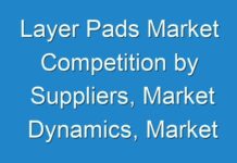 Layer Pads Market Competition by Suppliers, Market Dynamics, Market Trend and Forecasts 2030