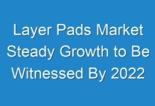 Layer Pads Market Steady Growth to Be Witnessed By 2024