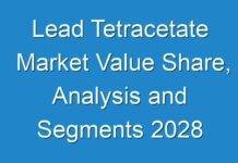 Lead Tetracetate Market Value Share, Analysis and Segments 2028