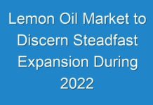 Lemon Oil Market to Discern Steadfast Expansion During 2024