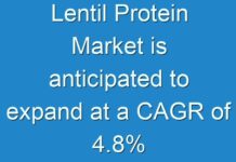Lentil Protein Market is anticipated to expand at a CAGR of 4.8%