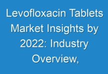 Levofloxacin Tablets Market Insights by 2024: Industry Overview, Opportunities, In-Depth Analysis and Forecast to 2030