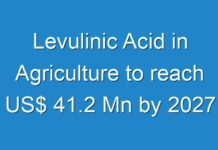 Levulinic Acid in Agriculture to reach US$ 41.2 Mn by 2027