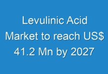 Levulinic Acid Market to reach US$ 41.2 Mn by 2027