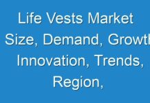 Life Vests Market Size, Demand, Growth Innovation, Trends, Region, Forecasts to 2025