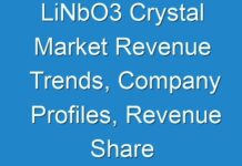 LiNbO3 Crystal Market Revenue Trends, Company Profiles, Revenue Share Analysis, 2028
