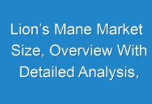 Lion’s Mane Market Size, Overview With Detailed Analysis, Competitive Landscape, Forecast To 2028