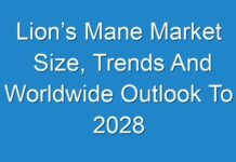 Lion’s Mane Market Size, Trends And Worldwide Outlook To 2028