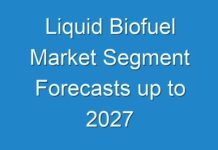 Liquid Biofuel Market Segment Forecasts up to 2027