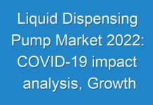 Liquid Dispensing Pump Market 2024: COVID-19 impact analysis, Growth by Top Companies, Trends by Types and Application, Forecast to 2027