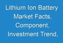 Lithium Ion Battery Market Facts, Component, Investment Trend, Finanacial Planning 2027